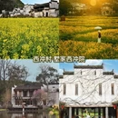 黄山旅游 缩略图 10