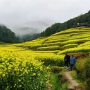 上饶旅游 缩略图 6
