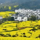 上饶旅游 缩略图 4