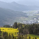 黄山旅游 缩略图 3