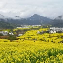上饶旅游 缩略图 5