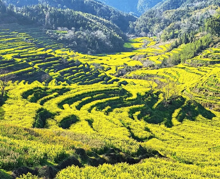 黄山旅游 1