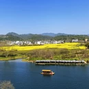 黄山旅游 缩略图 10