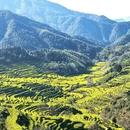 黄山旅游 缩略图 3