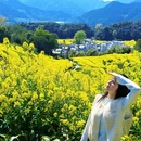 黄山旅游 缩略图 5