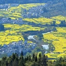 黄山旅游 缩略图 4