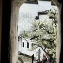 黄山旅游 缩略图 3