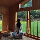 黄山旅游 缩略图 9
