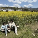 黄山旅游 缩略图 13