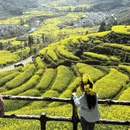 黄山旅游 缩略图 16