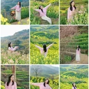 黄山旅游 缩略图 1