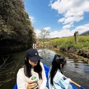 黄山旅游 缩略图 10