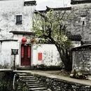 黄山旅游 缩略图 17