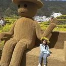 黄山旅游 缩略图 15