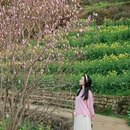 黄山旅游 缩略图 6