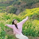 黄山旅游 缩略图 7