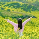黄山旅游 缩略图 9