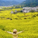 黄山旅游 缩略图 2