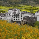 黄山旅游 缩略图 8