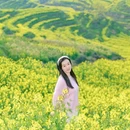 黄山旅游 缩略图 4