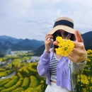 黄山旅游 缩略图 5