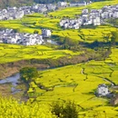 黄山旅游 缩略图 6