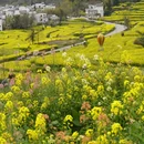 黄山旅游 缩略图 11