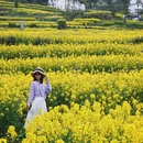 黄山旅游 缩略图 4