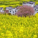 黄山旅游 缩略图 7
