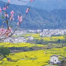 黄山旅游 缩略图 9
