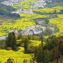 黄山旅游 缩略图 10