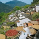 黄山旅游 缩略图 6