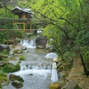 黄山旅游 缩略图 15