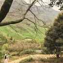 上饶旅游 缩略图 2
