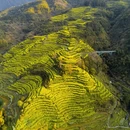 黄山旅游 缩略图 2
