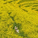 黄山旅游 缩略图 1
