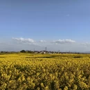 汉中旅游 缩略图 4