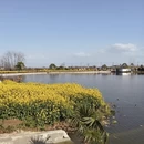 汉中旅游 缩略图 6