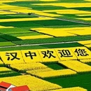汉中旅游 缩略图 1