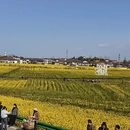 汉中旅游 缩略图 10