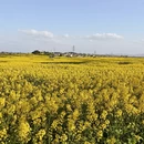 汉中旅游 缩略图 5