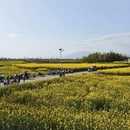 汉中旅游 缩略图 7