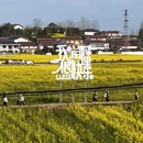 汉中旅游 缩略图 11