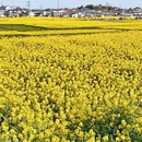汉中旅游 缩略图 14