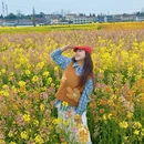 汉中旅游 缩略图 5