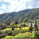 黄山旅游 缩略图 3