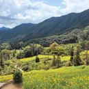 黄山旅游 缩略图 2