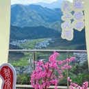 黄山旅游 缩略图 11