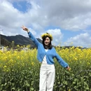 黄山旅游 缩略图 10