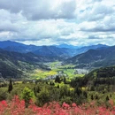 黄山旅游 缩略图 7